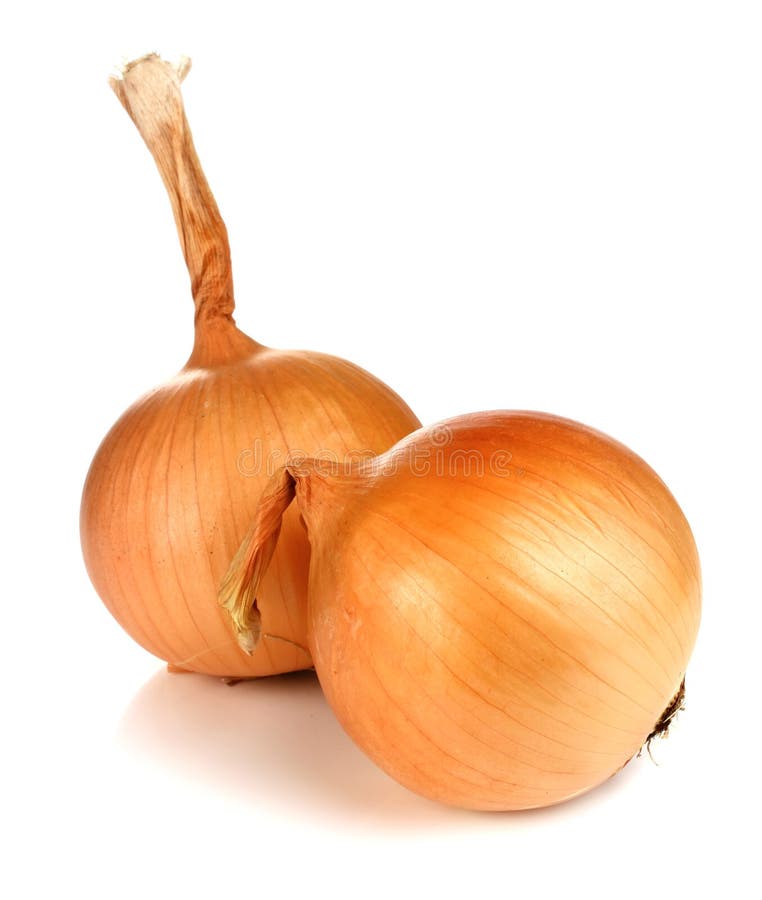 Onion