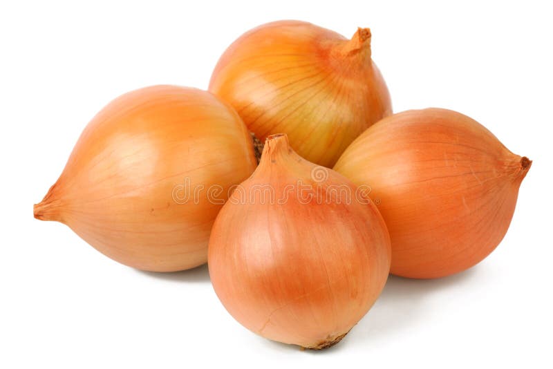 Onion stock image. Image of color, bulb, fresh, nutrition 28144923