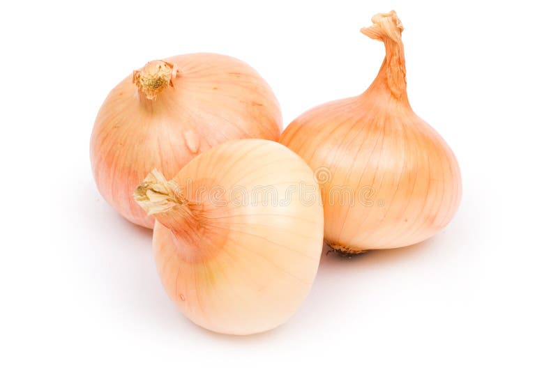 Onion