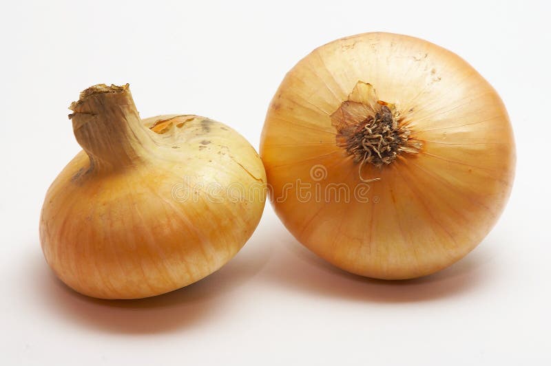 Onion