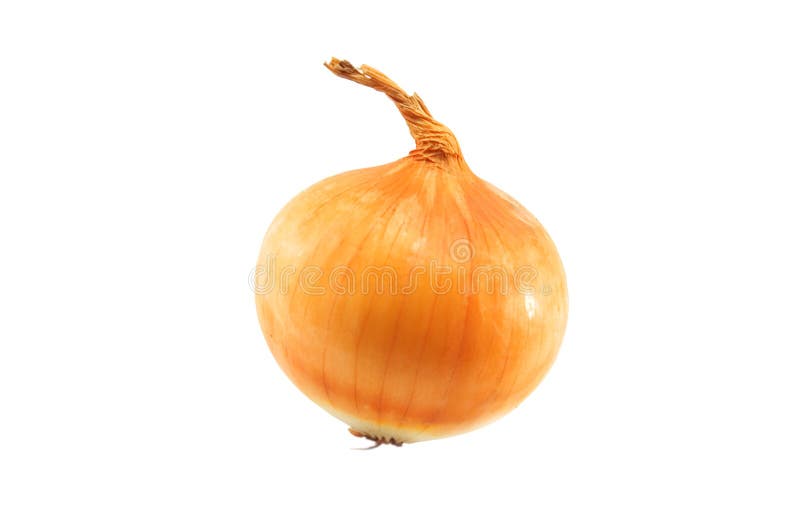 Onion