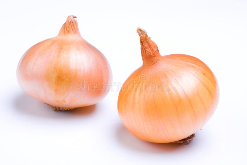 Onion stock photo. Image of seasoning, pealing, length 6539850