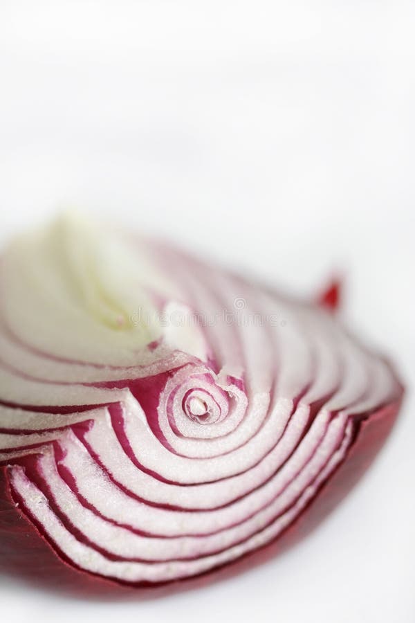 Onion