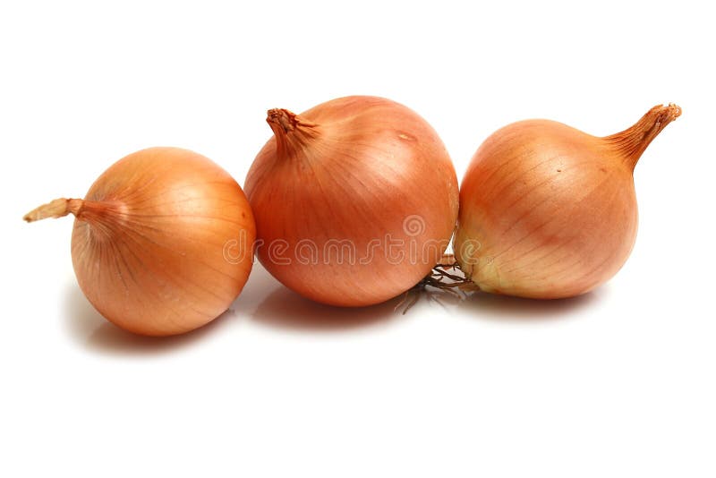 Onion