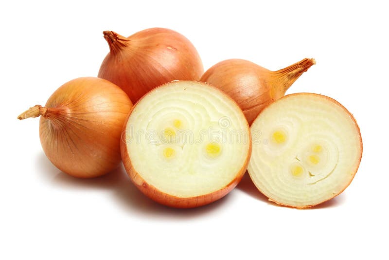 Onion