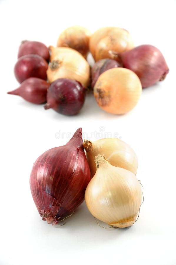Onion Free Stock Photos & Pictures, Onion RoyaltyFree and Public
