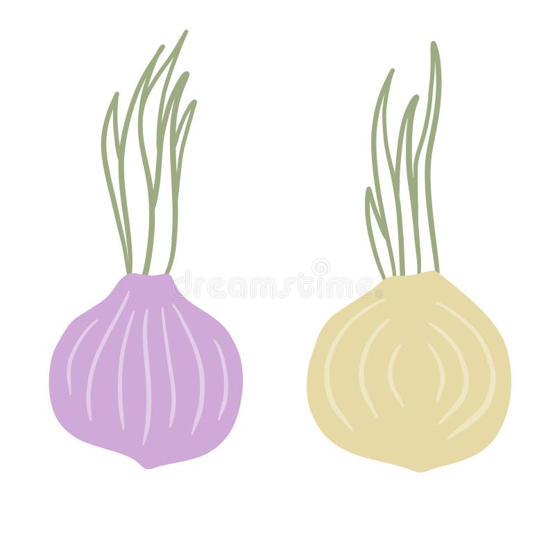 How to draw green onions in 6 EASY STEPS!