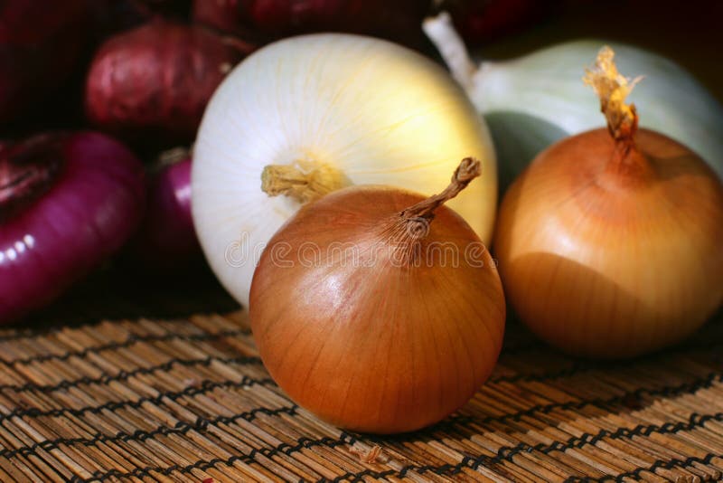 Onion Family