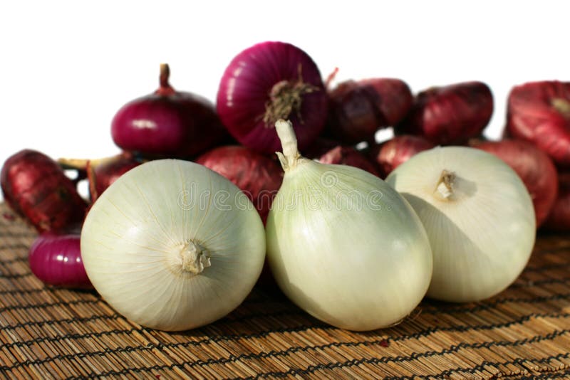 Onion Family stock photo. Image of nutrition, fresh, products 16356620