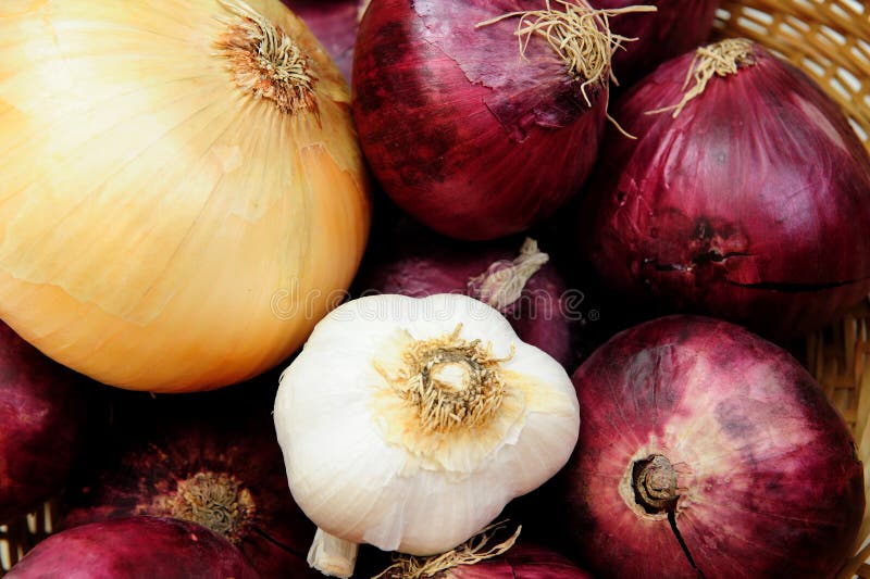 Onion and Garlic stock image. Image of sweet, clove, meal 10423413