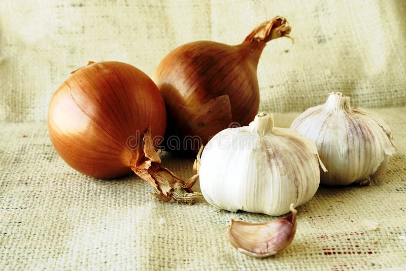 Onion and Garlic Still Life Stock Photo Image of organic, healthy