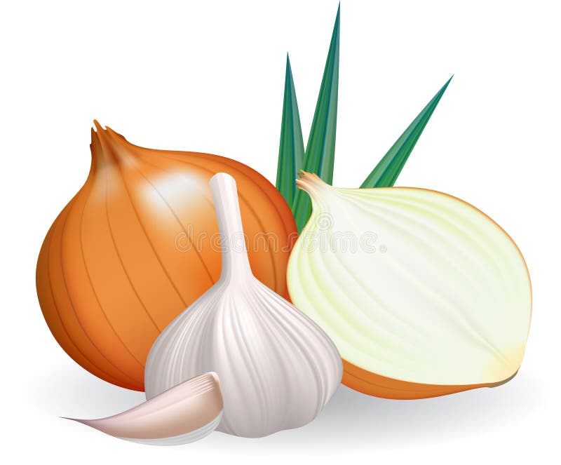 Garlic Crusher Stock Illustrations – 82 Garlic Crusher Stock Illustrations,  Vectors & Clipart - Dreamstime