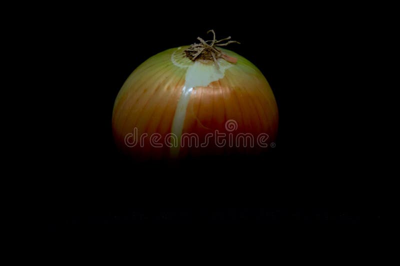Onion Head on a Black Background Stock Photo Image of cures, head