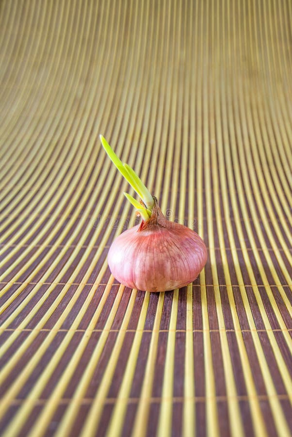 Onion on a bamboo mat. Onion on a bamboo mat