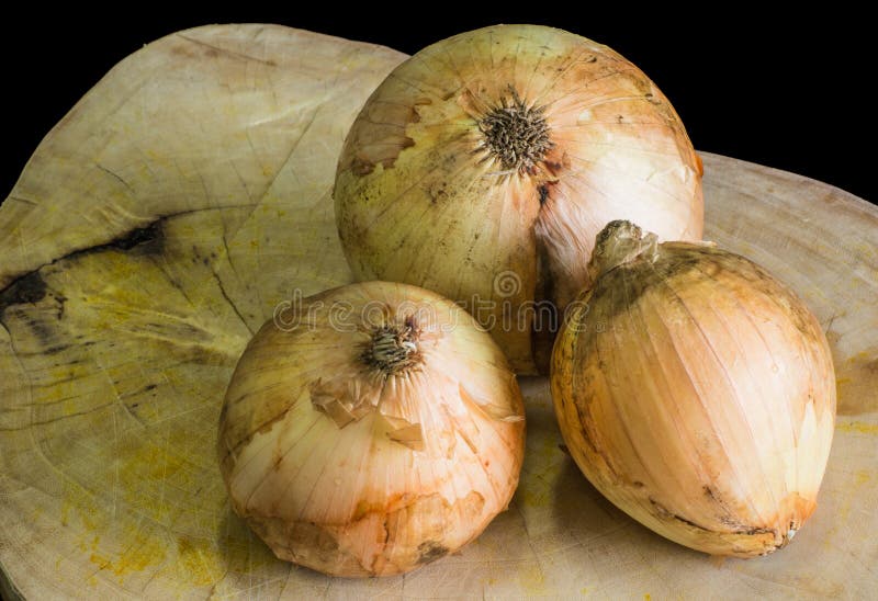 Onion stock photo. Image of asia, ingredient, poignant 53685248
