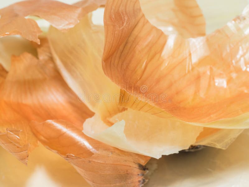 Onion peels stock photo. Image of leftover, root, skin 40796522