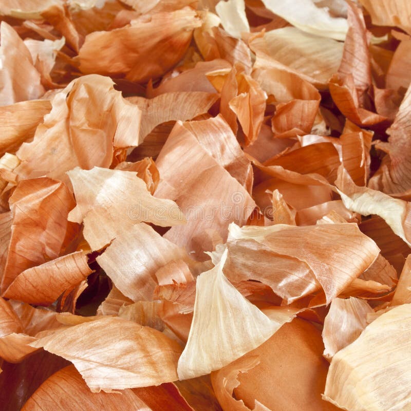 15,326 Onion Skin Stock Photos Free & RoyaltyFree Stock Photos from