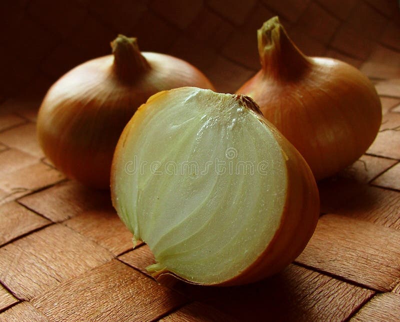 Onion study 2