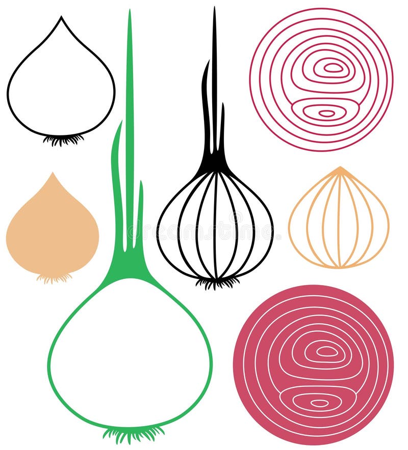 Onion Vegetable Cartoon Colored Clipart - Stock Illustration [101045512] -  PIXTA