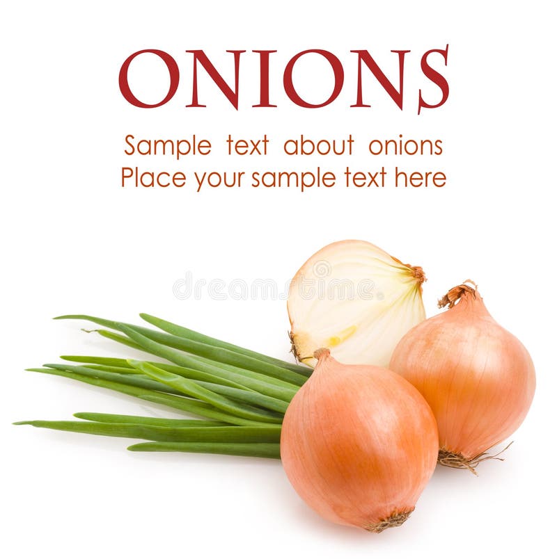 Onions stock photo. Image of fresh, onions, isolated 19953854