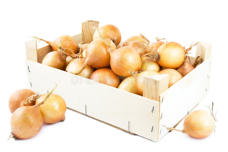 Onions in box. 