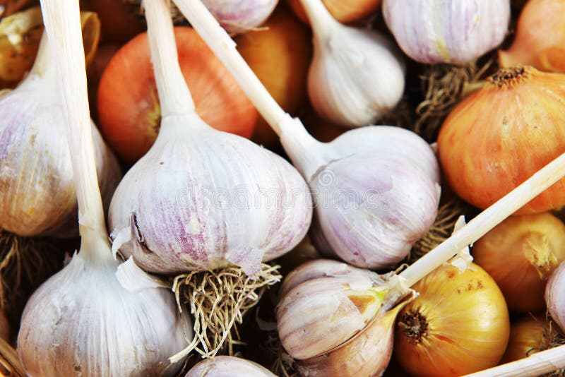 Onions and garlic stock image. Image of spicy, smelly 46135785