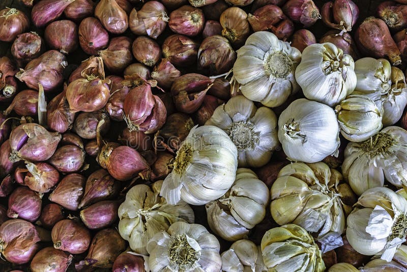 Onions and garlic stock image. Image of plate, vitamins 134225831