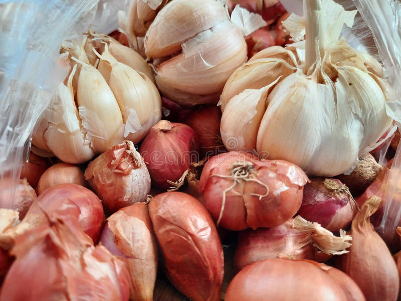 Onions and Garlics in a Plastic Bag Stock Photo Image of plastic