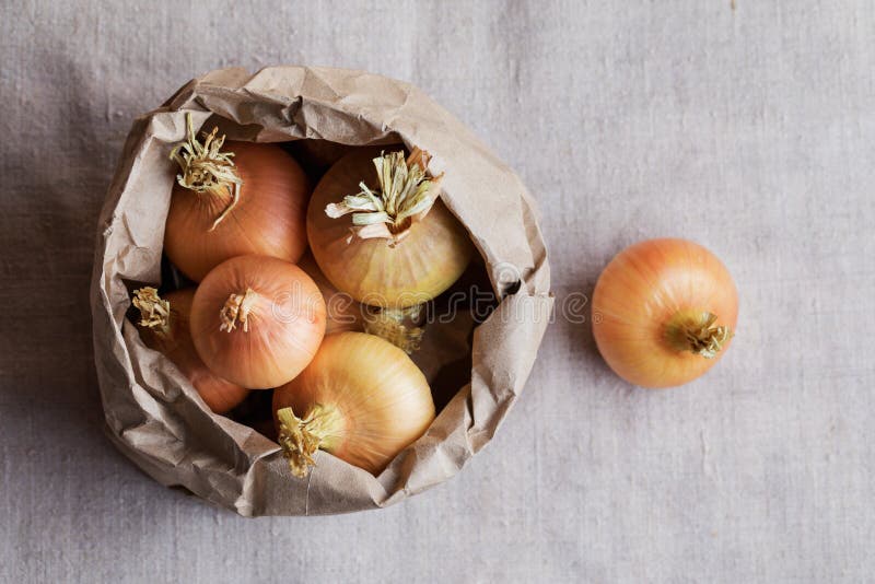 Onions in a Paper Bag. Ecofriendly Materials for Packaging Products