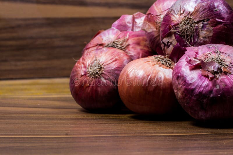 India onion isolated stock image. Image of culinary 124389925
