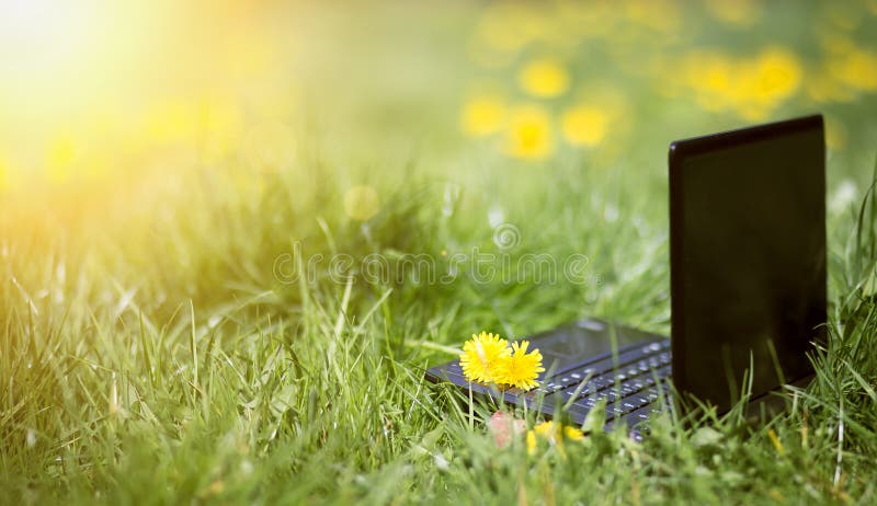 Online learning, e-learning summer concept, laptop in the grass