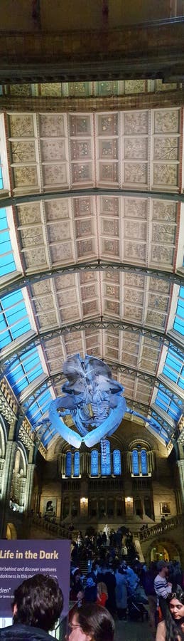 Ontwerparchitectuur van het plafond van de post Londen stock afbeelding