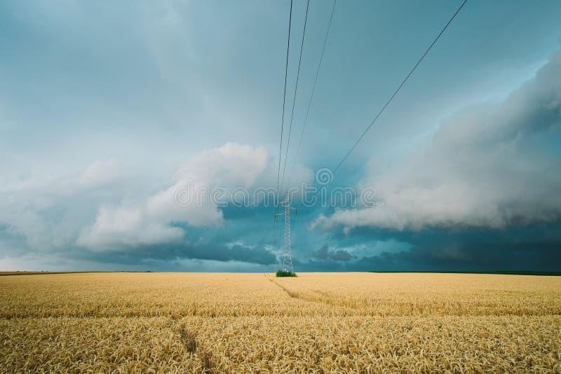 Onweer over het tarwegebied stock foto Onweer over het tarwegebied stock foto
