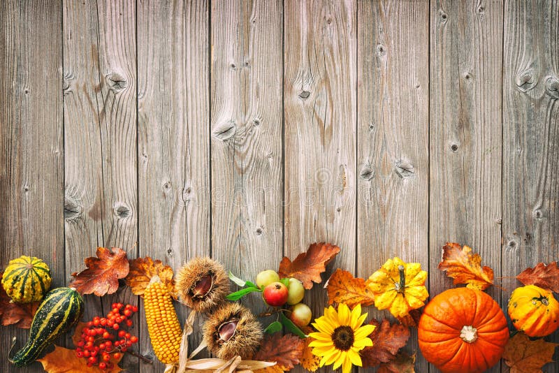 Oogst of Dankzeggingsachtergrond met herfstbladeren, vruchten