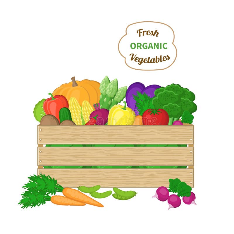 Oogst in een houten doos Krat met de herfstgroenten Verse Natuurvoeding van het landbouwbedrijf Vector kleurrijke illustratie van stock illustratie Oogst in een houten doos Krat met de herfstgroenten Verse Natuurvoeding van het landbouwbedrijf Vector kleurrijke illustratie van stock illustratie
