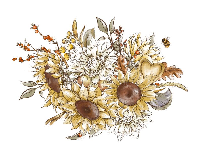 Oogstval : zonnebloemen wit chrysanthemum
