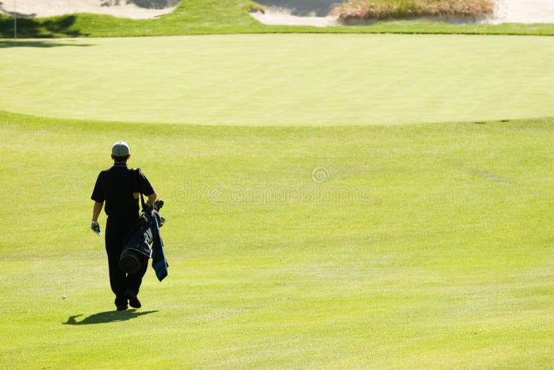 A golfer walks towards the green. A golfer walks towards the green