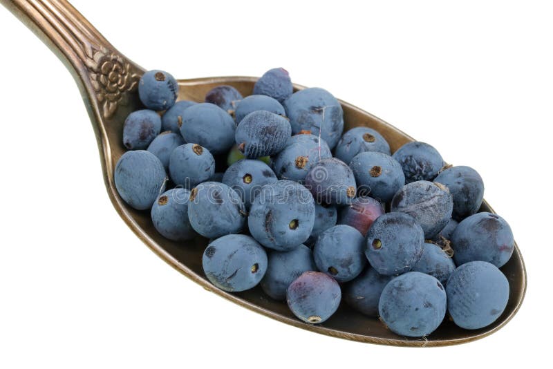 Op de oude gouden lepel is er een dosis natuurlijk geneesmiddel - kleine blauwe bessen van een bos binnen verwarde hulstinstallat royalty-vrije stock afbeelding Op de oude gouden lepel is er een dosis natuurlijk geneesmiddel - kleine blauwe bessen van een bos binnen verwarde hulstinstallat royalty-vrije stock afbeelding