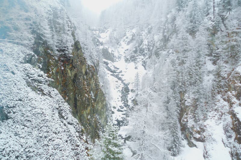 Opad śniegu w wąskim halnym wąwozie w Szwajcarskich Alps obrazy stock Opad śniegu w wąskim halnym wąwozie w Szwajcarskich Alps obrazy stock