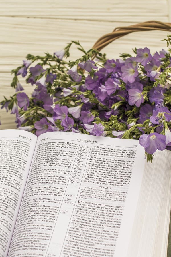 Open Bible and Bouquet Flax in Wicker Basket. Retro Style Stock Image ...