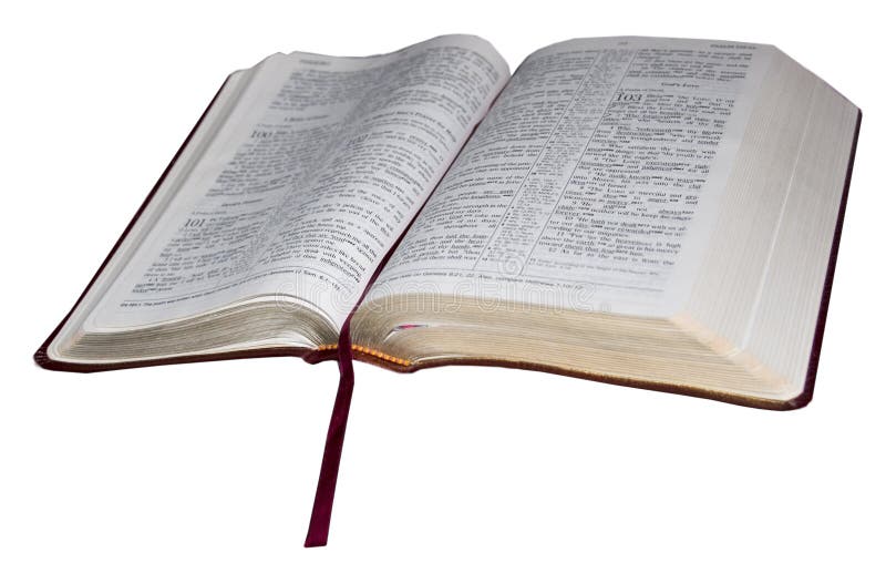 Cutout image of open bible isolated against a white background.