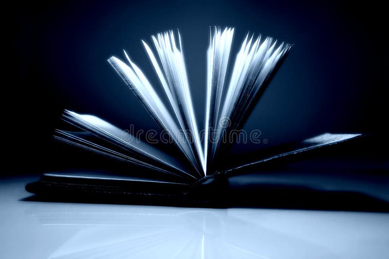Download Open book stock photo. Image of blank, sheet, school, book - 113006