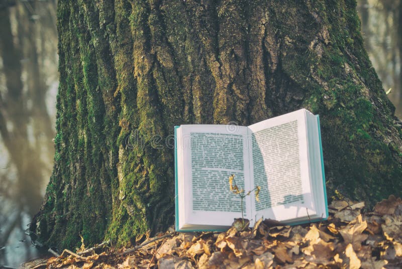 Open book in blue bound lying on a dry leaves. Background texture bark tree in spring nature forest lake. pages blurry sunlight royalty free stock images
