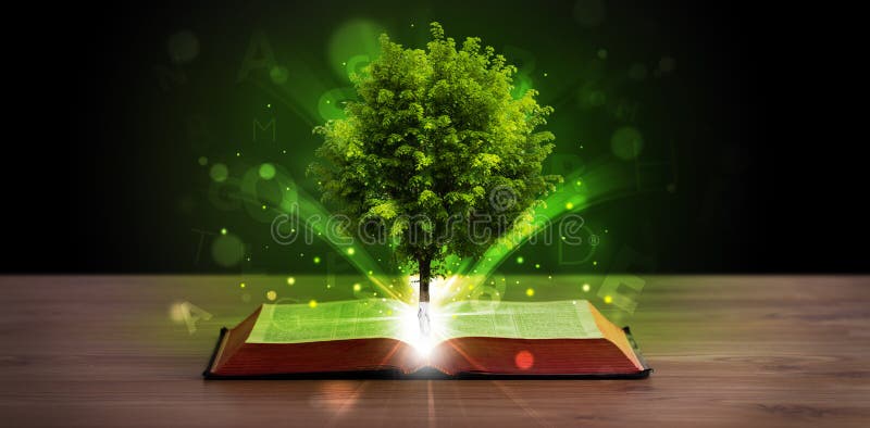 Open book with magical green tree and rays of light