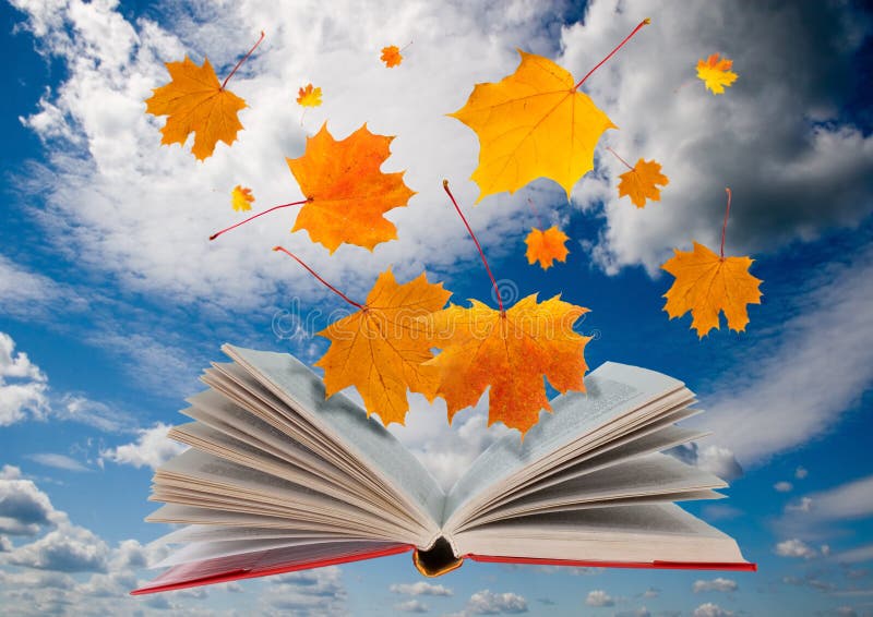 Open book and maple leaves