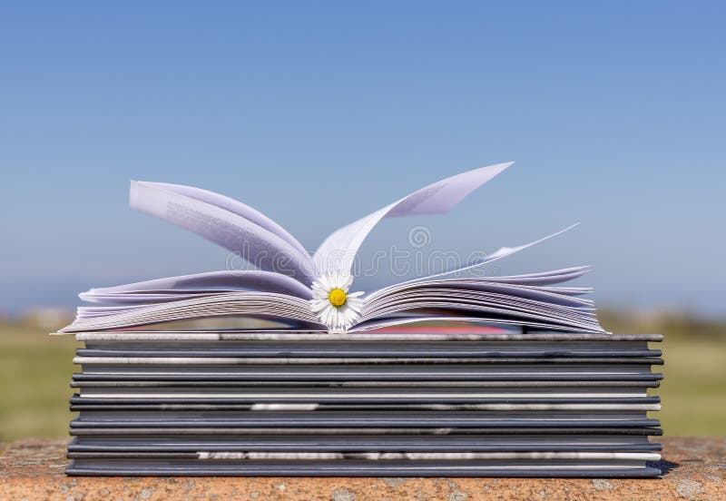 Open book with pages in the wind and a daisy as a bookmark, resting on a stack of books, outdoors stock photography