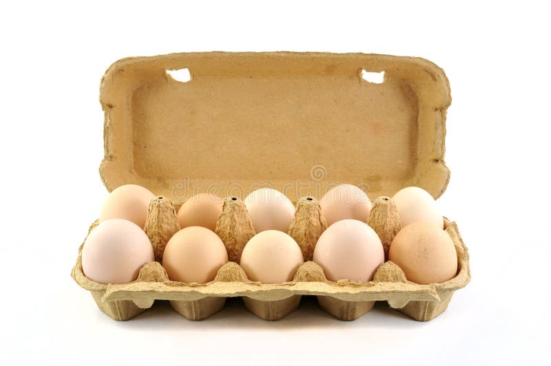 Open box with ten fresh bio eggs