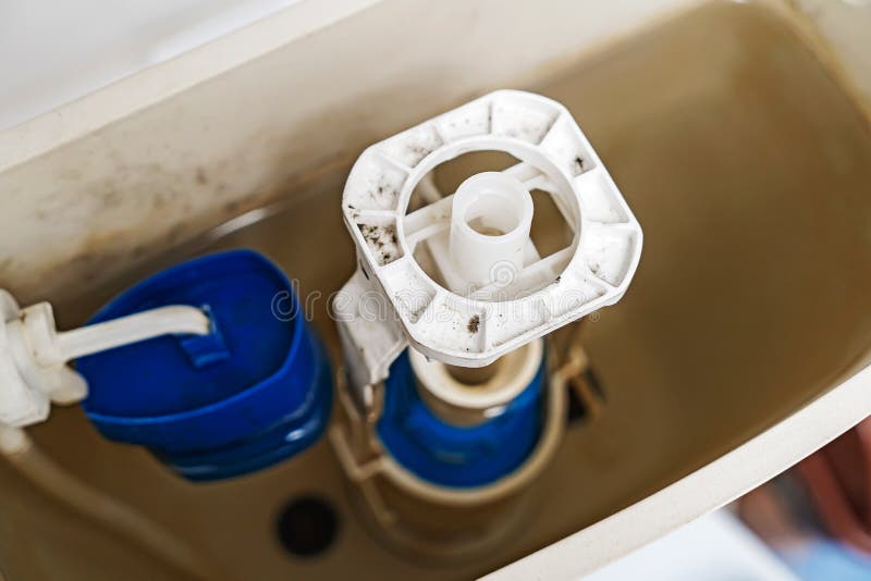 2,301 Broken Toilet Stock Photos Free & RoyaltyFree Stock Photos