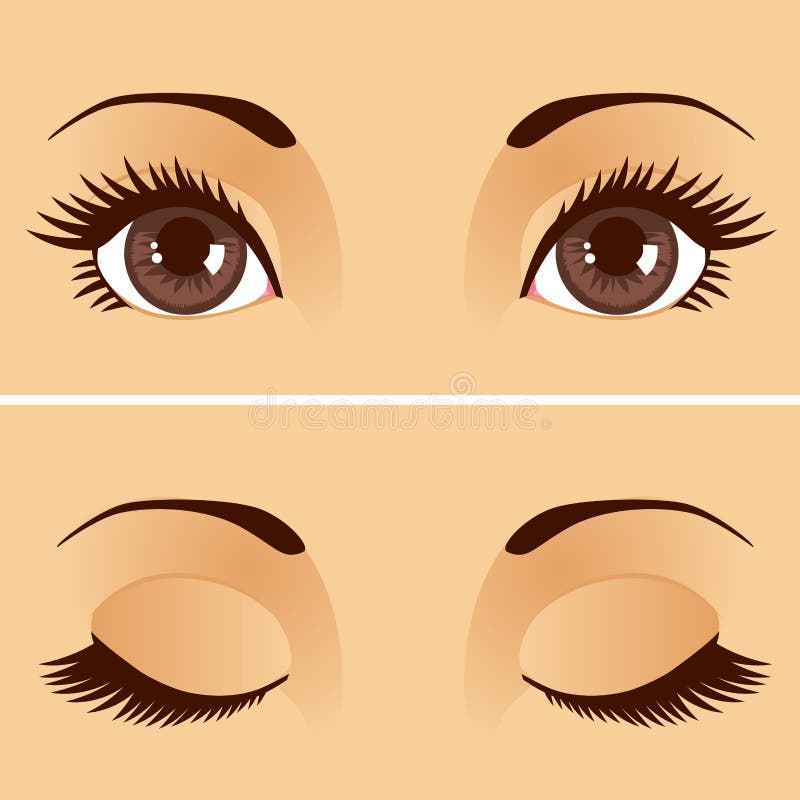 4 Causes of Bumps on the Eyelid Threading salon, Threading eyebrows, Eyelashes