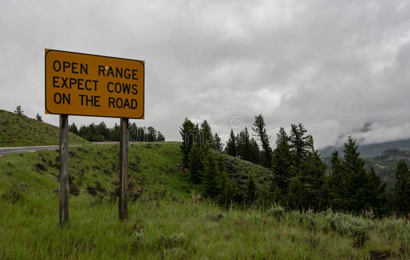 Open Range Sign Warns of Loose Livestock on Road Stock Image - Image of  meadow, green: 176053789